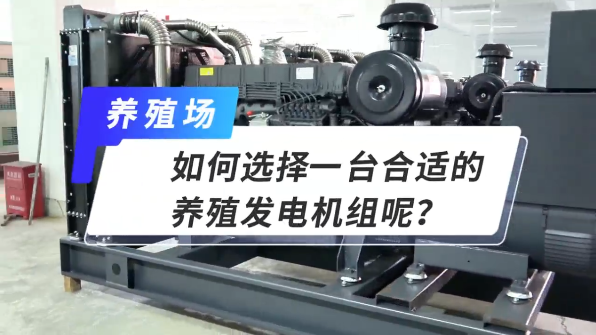 「視頻」如何選擇一臺合適的養(yǎng)殖發(fā)電機組呢？